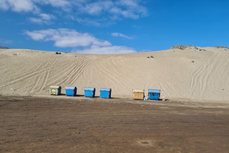 basureros playa chacaya